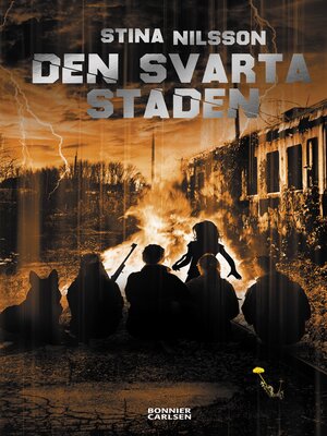 cover image of Den svarta staden